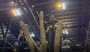 TCIExpo Cabling Demo Arbor Industry